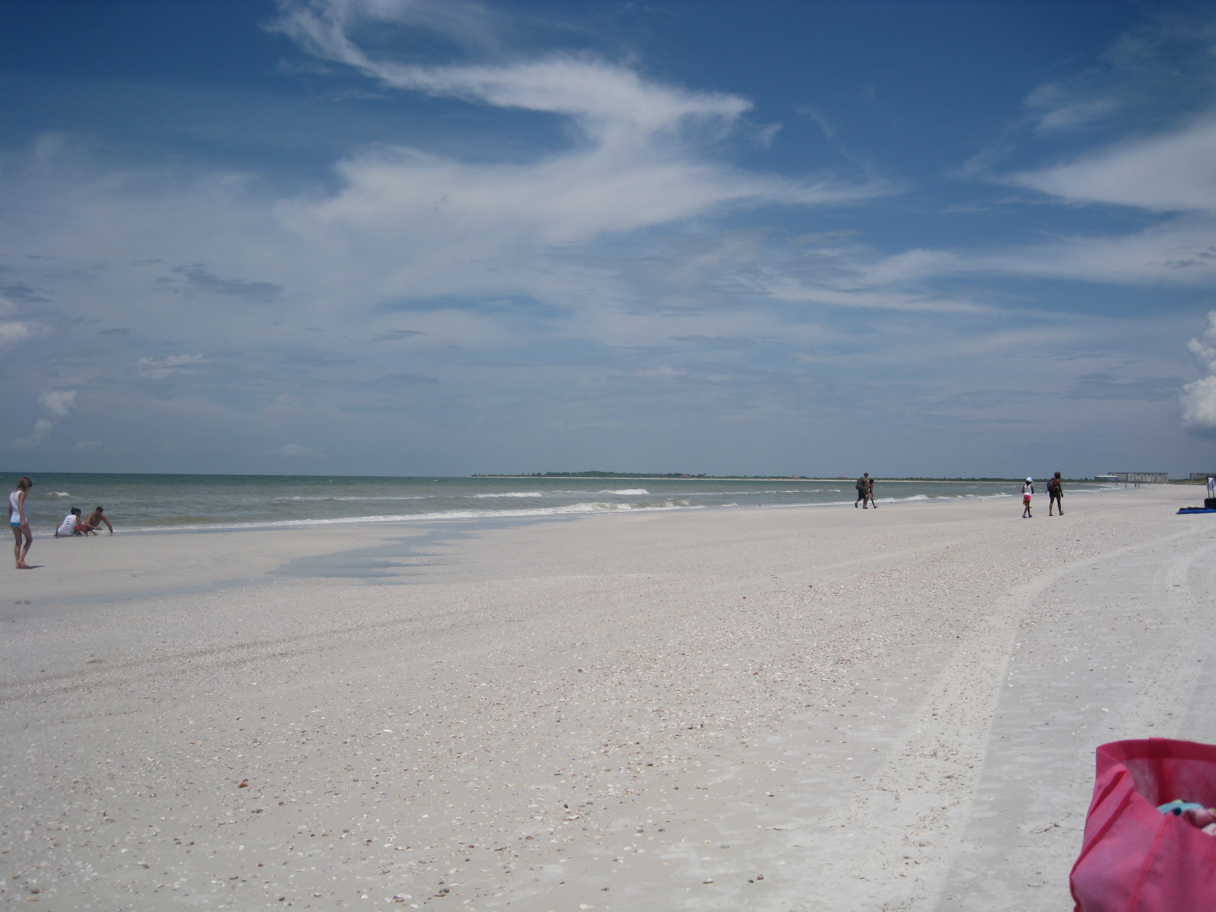 Beautiful Florida beaches, amazing sea shells