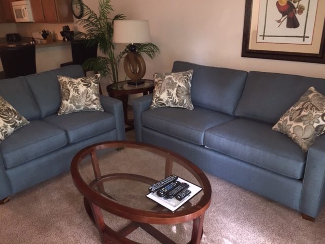 New sleeper couch and loveseat